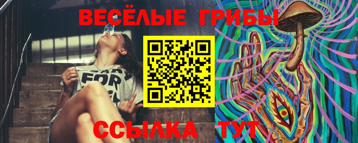 Псилоцибиновые грибы MAGIC MUSHROOMS  Вход с VPN  Жуковский 