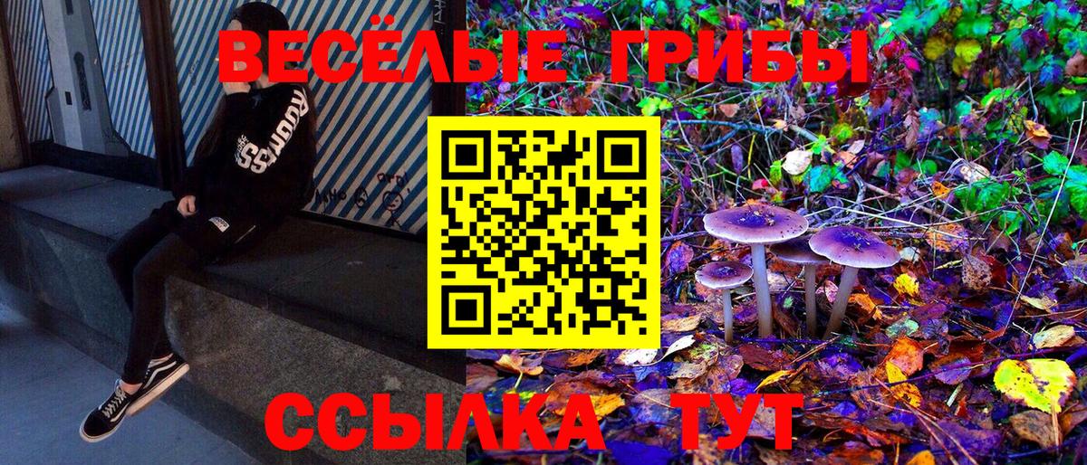 Галлюциногенные грибы ЛСД Жуковский
